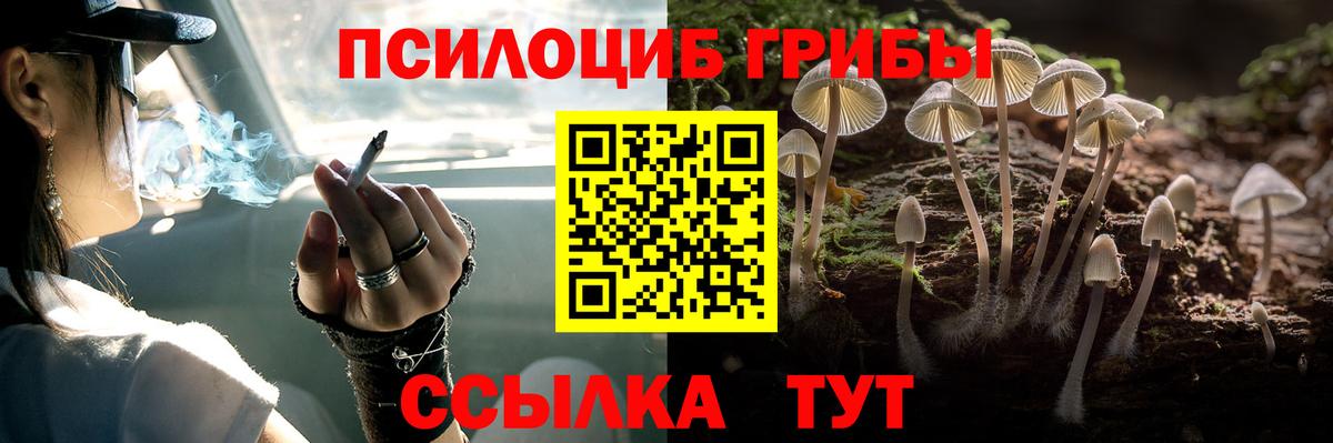 Галлюциногенные грибы MAGIC MUSHROOMS Воскресенск